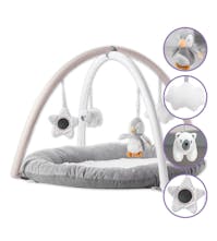 Nuby Interactive Play Activity Gym - Penguin